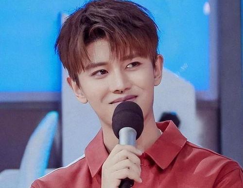 娱乐吃瓜蜀黍任嘉伦,娱乐吃瓜蜀黍的星光璀璨之路