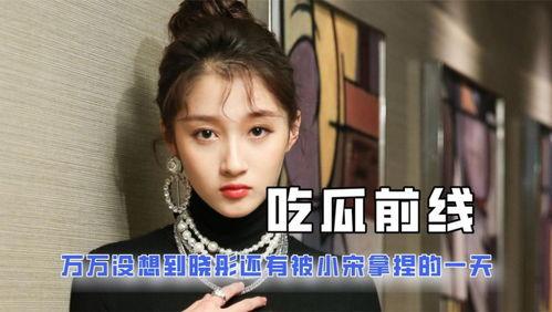 娱乐圈吃瓜小达人小说