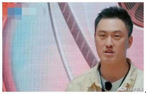 娱乐圈吃瓜爆料男星是谁,吃瓜爆料，揭秘那位神秘男星的真实身份