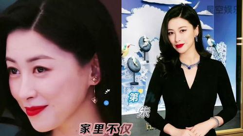 吃瓜系统真假千金娱乐圈,娱乐圈的逆袭风云