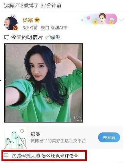 吃瓜娱乐小程序下载,揭秘吃瓜娱乐小程序下载攻略